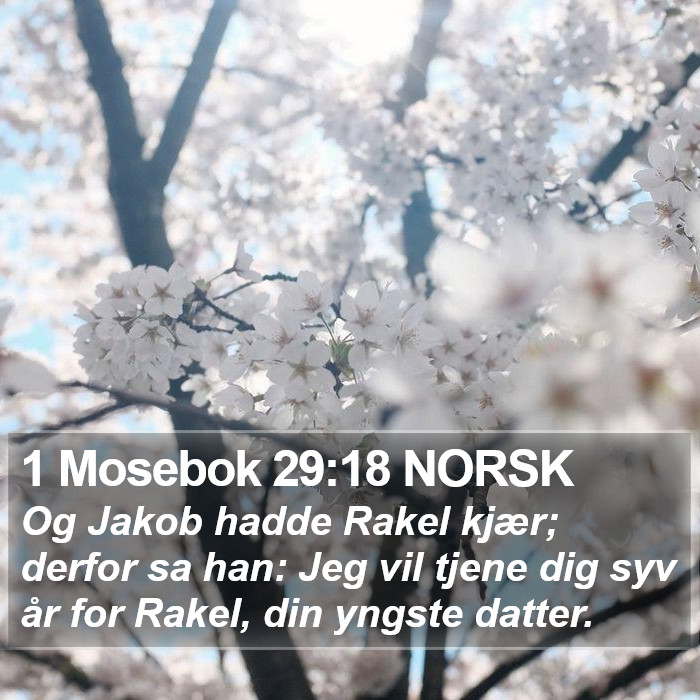 1 Mosebok 29:18 NORSK Bible Study