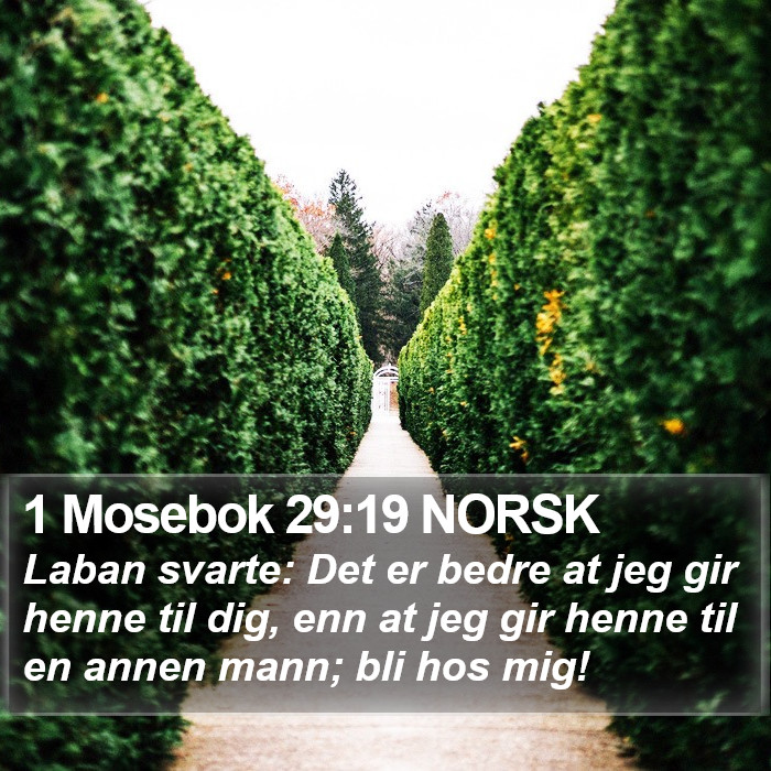 1 Mosebok 29:19 NORSK Bible Study