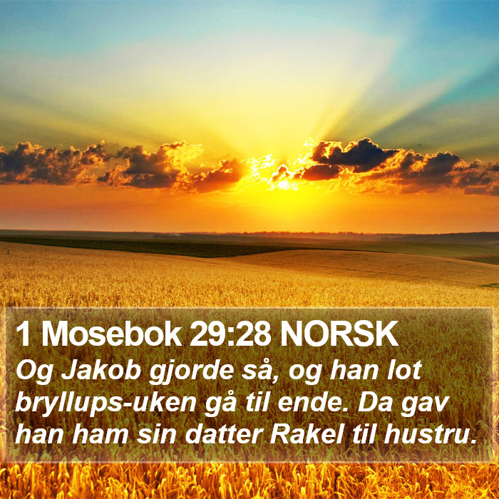 1 Mosebok 29:28 NORSK Bible Study