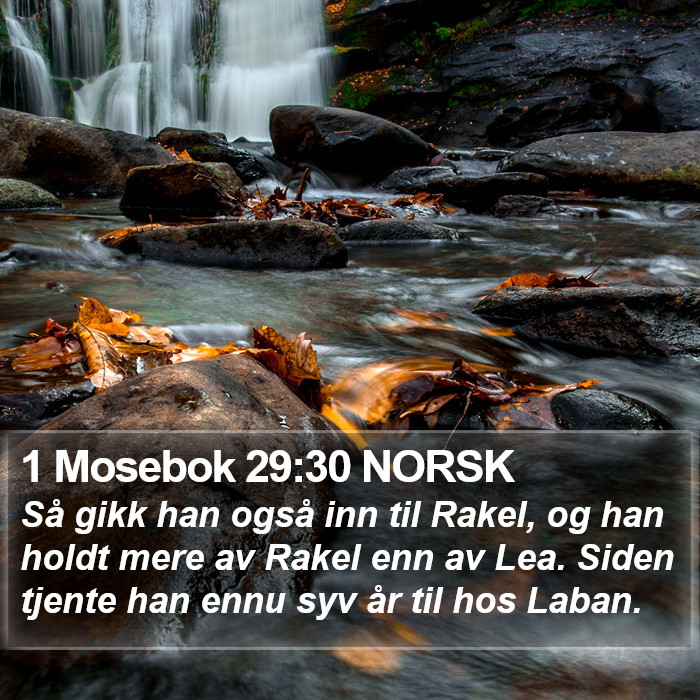 1 Mosebok 29:30 NORSK Bible Study