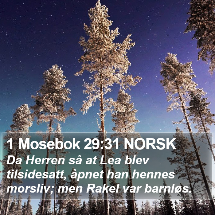 1 Mosebok 29:31 NORSK Bible Study