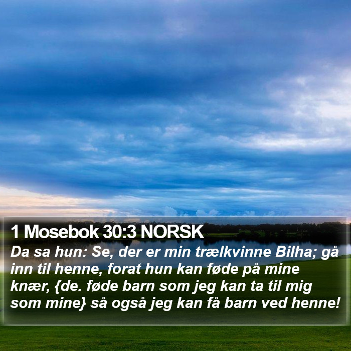 1 Mosebok 30:3 NORSK Bible Study