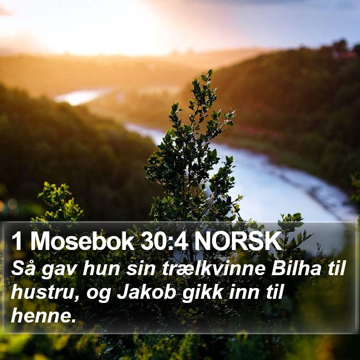 1 Mosebok 30:4 NORSK Bible Study