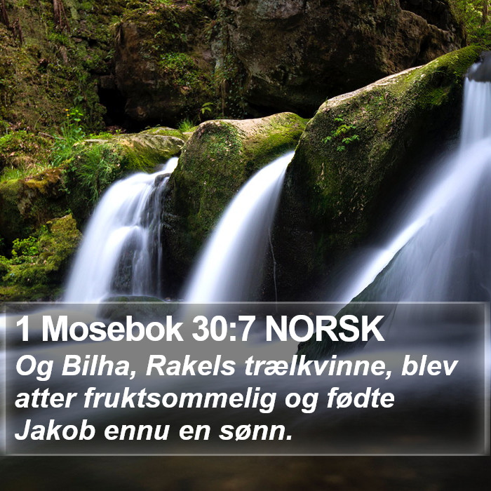 1 Mosebok 30:7 NORSK Bible Study