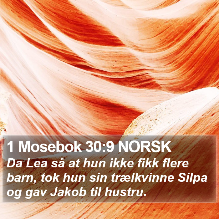 1 Mosebok 30:9 NORSK Bible Study