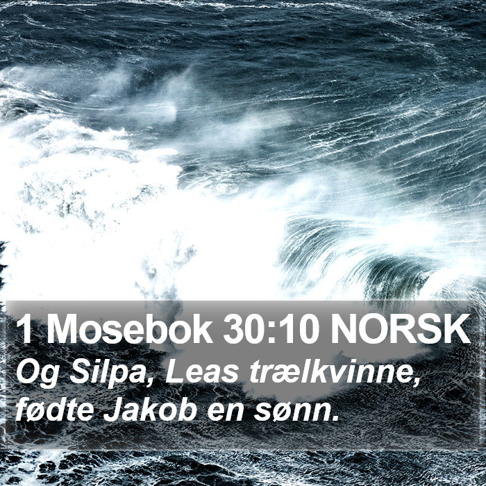 1 Mosebok 30:10 NORSK Bible Study