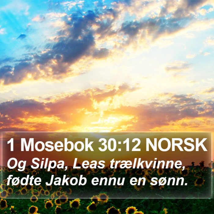 1 Mosebok 30:12 NORSK Bible Study