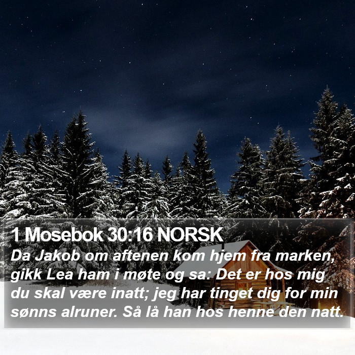 1 Mosebok 30:16 NORSK Bible Study