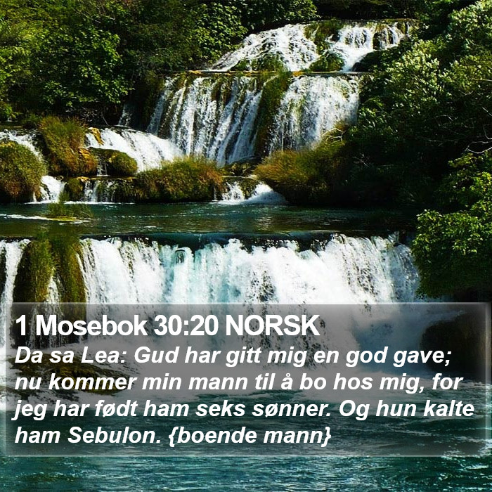 1 Mosebok 30:20 NORSK Bible Study