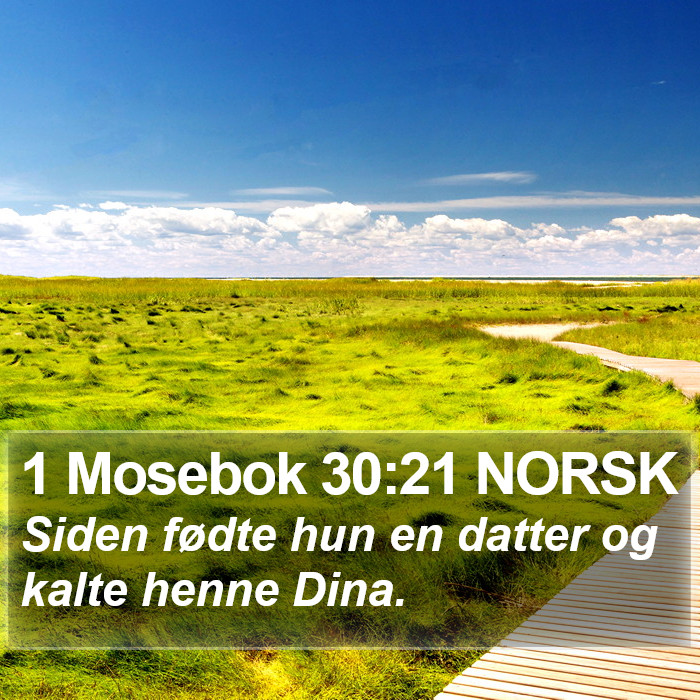 1 Mosebok 30:21 NORSK Bible Study