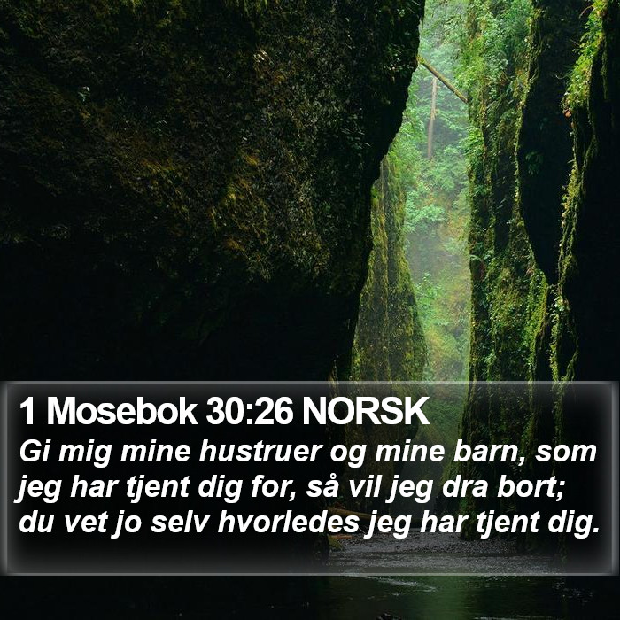 1 Mosebok 30:26 NORSK Bible Study