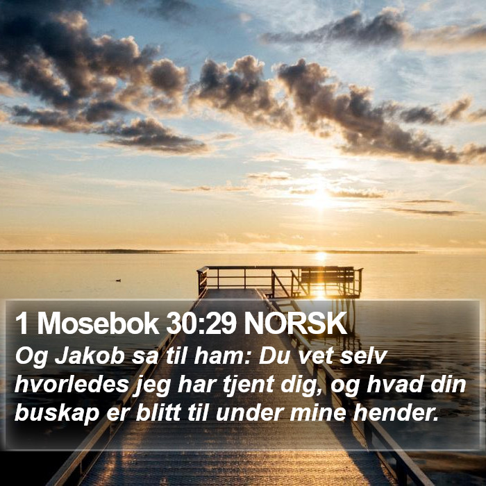 1 Mosebok 30:29 NORSK Bible Study