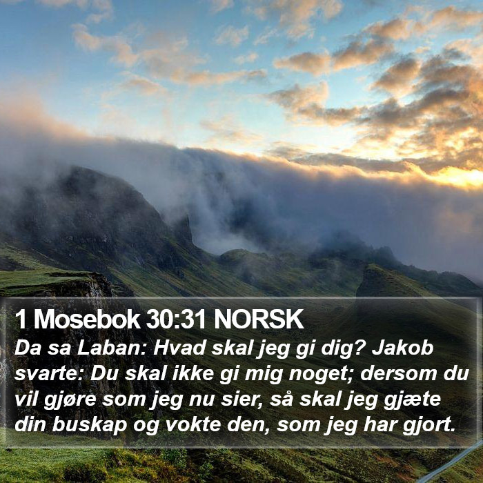 1 Mosebok 30:31 NORSK Bible Study