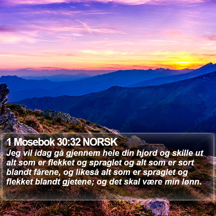 1 Mosebok 30:32 NORSK Bible Study