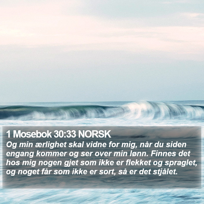 1 Mosebok 30:33 NORSK Bible Study