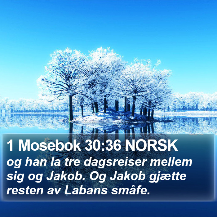 1 Mosebok 30:36 NORSK Bible Study