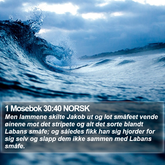 1 Mosebok 30:40 NORSK Bible Study