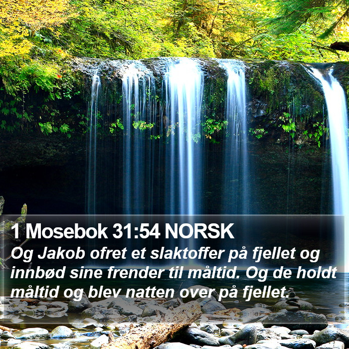 1 Mosebok 31:54 NORSK Bible Study