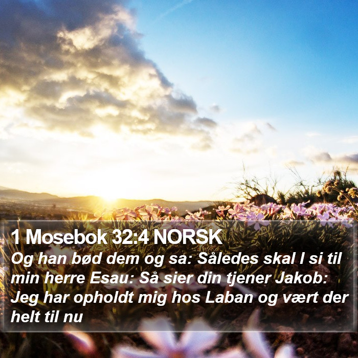 1 Mosebok 32:4 NORSK Bible Study