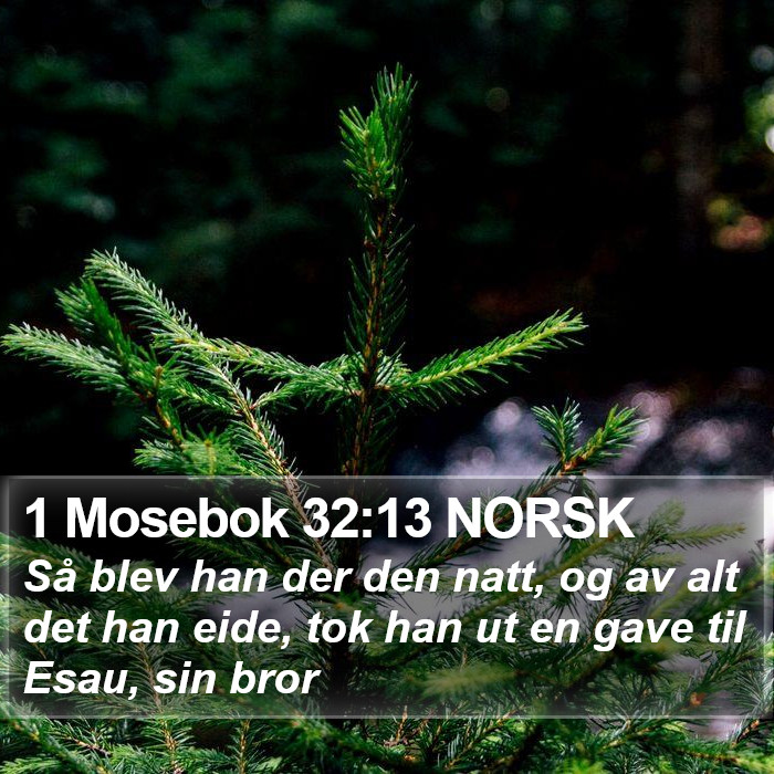 1 Mosebok 32:13 NORSK Bible Study