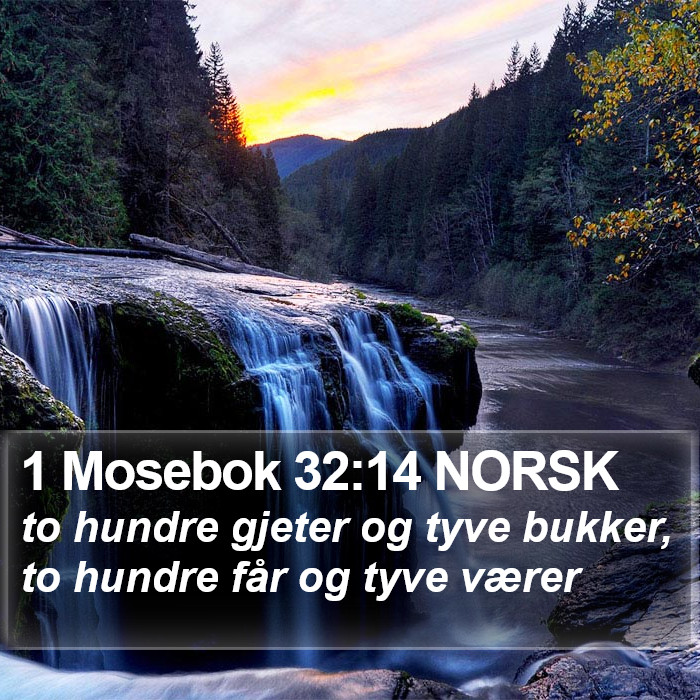 1 Mosebok 32:14 NORSK Bible Study