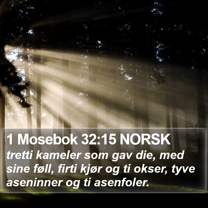 1 Mosebok 32:15 NORSK Bible Study