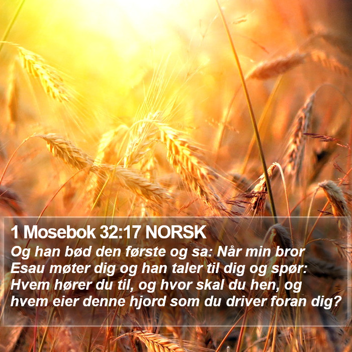 1 Mosebok 32:17 NORSK Bible Study