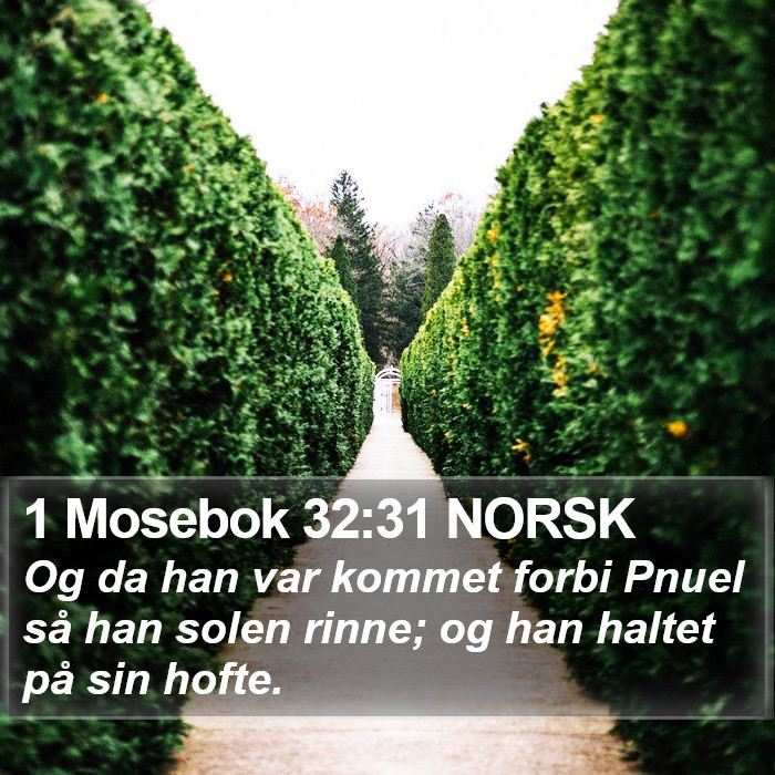 1 Mosebok 32:31 NORSK Bible Study