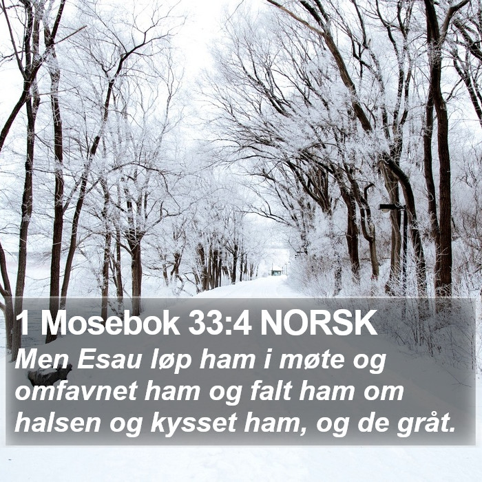 1 Mosebok 33:4 NORSK Bible Study