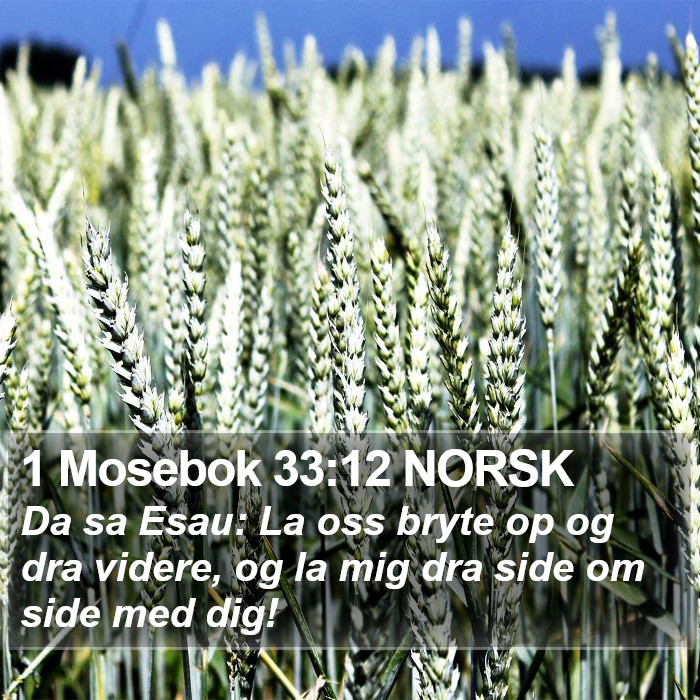 1 Mosebok 33:12 NORSK Bible Study