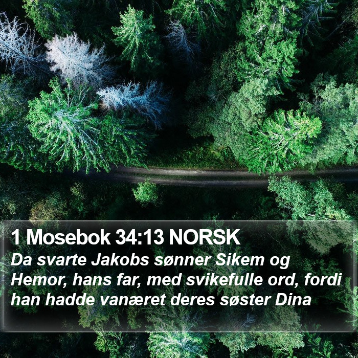 1 Mosebok 34:13 NORSK Bible Study