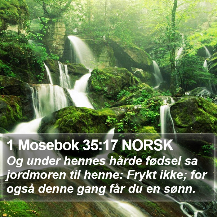 1 Mosebok 35:17 NORSK Bible Study