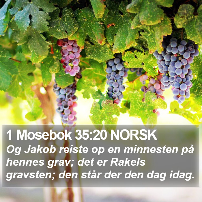 1 Mosebok 35:20 NORSK Bible Study