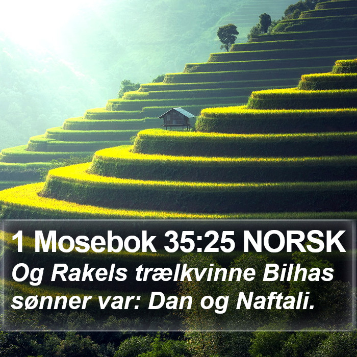 1 Mosebok 35:25 NORSK Bible Study