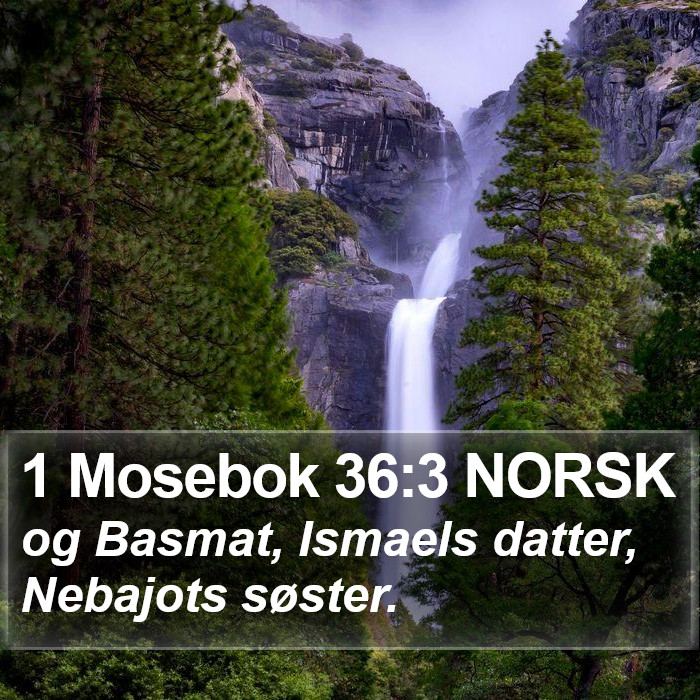 1 Mosebok 36:3 NORSK Bible Study