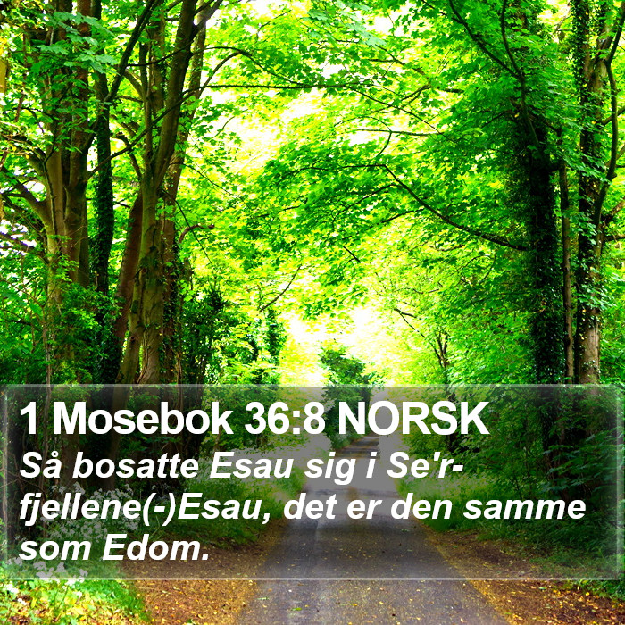 1 Mosebok 36:8 NORSK Bible Study