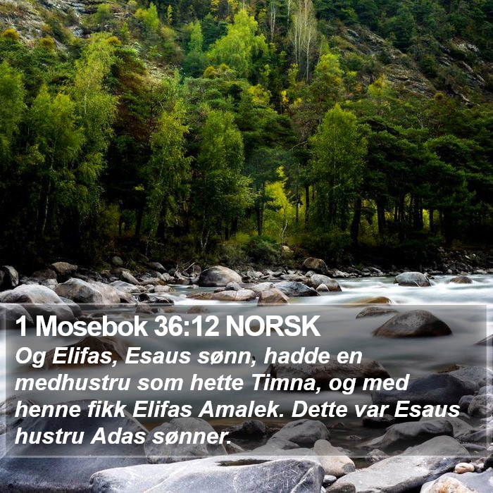 1 Mosebok 36:12 NORSK Bible Study