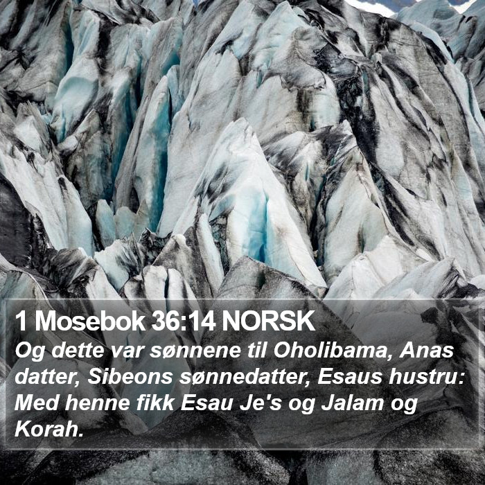 1 Mosebok 36:14 NORSK Bible Study