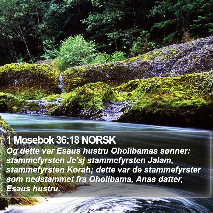 1 Mosebok 36:18 NORSK Bible Study