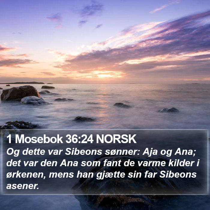 1 Mosebok 36:24 NORSK Bible Study