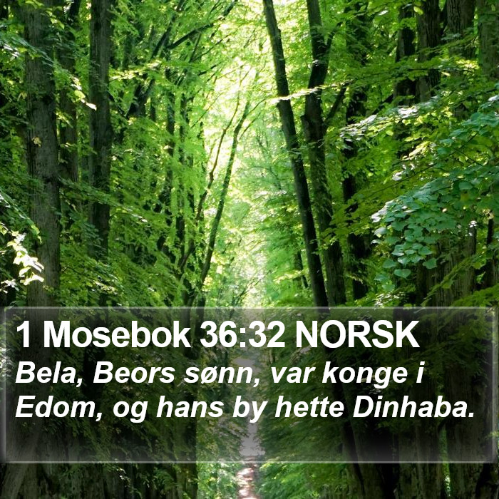 1 Mosebok 36:32 NORSK Bible Study