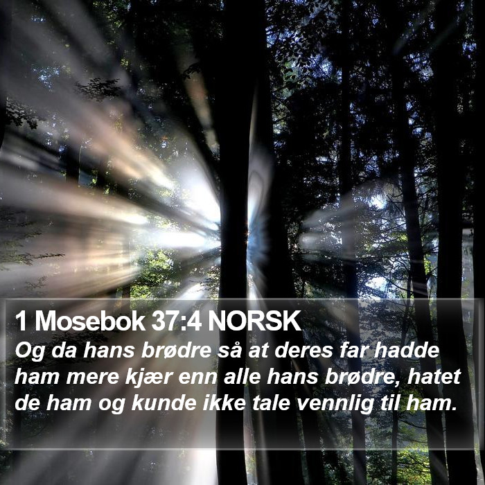 1 Mosebok 37:4 NORSK Bible Study