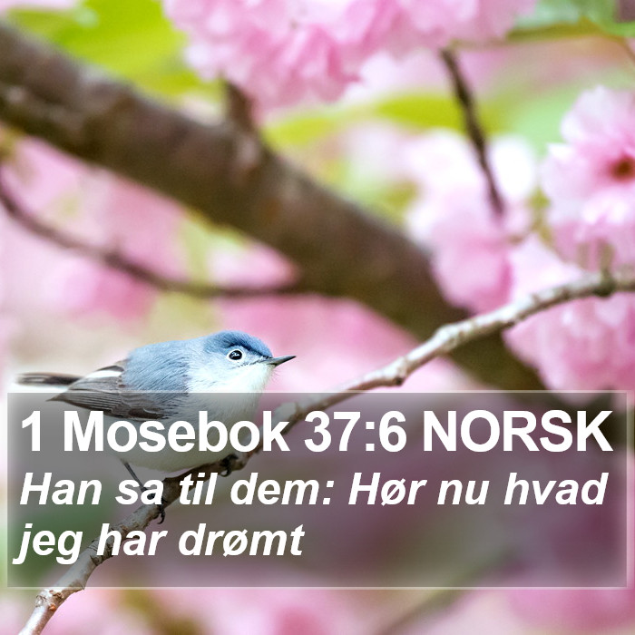 1 Mosebok 37:6 NORSK Bible Study