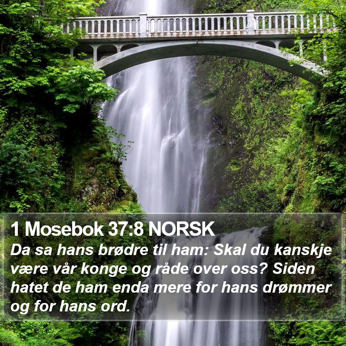 1 Mosebok 37:8 NORSK Bible Study