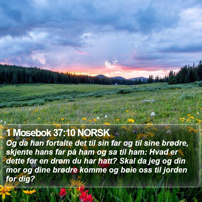 1 Mosebok 37:10 NORSK Bible Study