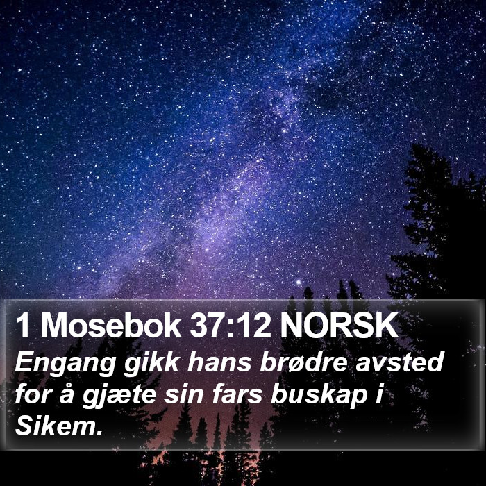 1 Mosebok 37:12 NORSK Bible Study