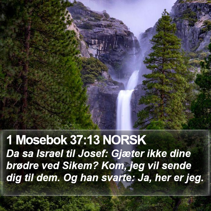 1 Mosebok 37:13 NORSK Bible Study