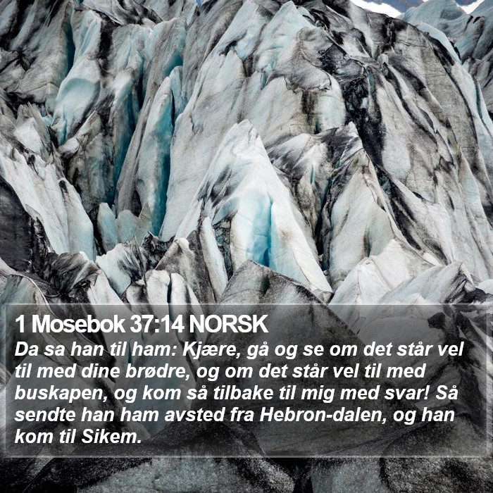 1 Mosebok 37:14 NORSK Bible Study