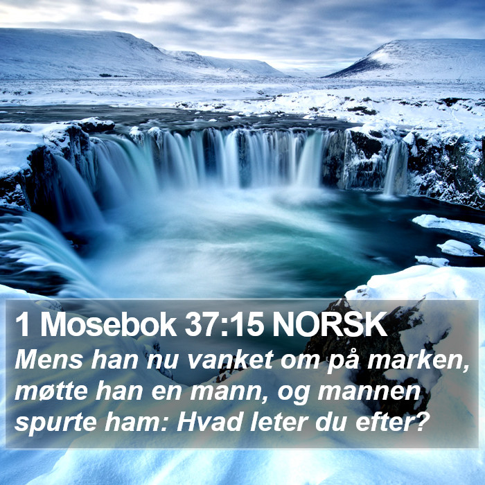 1 Mosebok 37:15 NORSK Bible Study