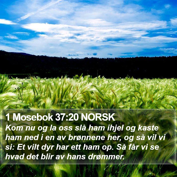 1 Mosebok 37:20 NORSK Bible Study